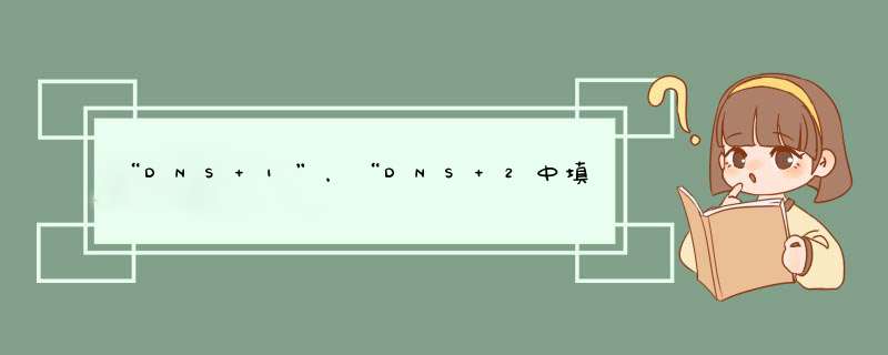 “DNS 1”，“DNS 2中填入路由显示的地运营商域名解释器地址”是多少啊？怎么填？,第1张