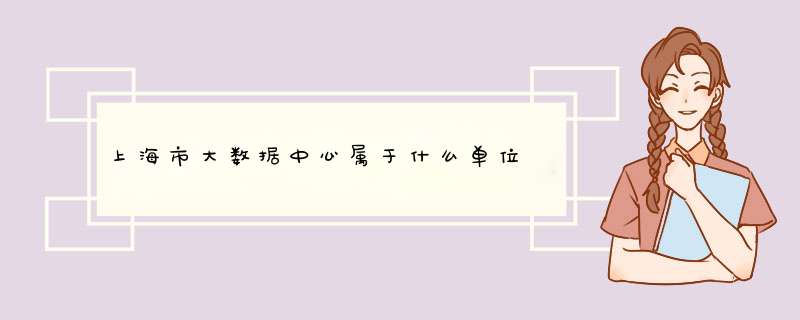 上海市大数据中心属于什么单位,第1张