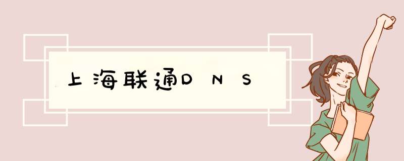 上海联通DNS,第1张