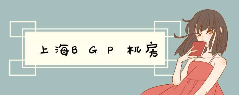 上海BGP机房,第1张