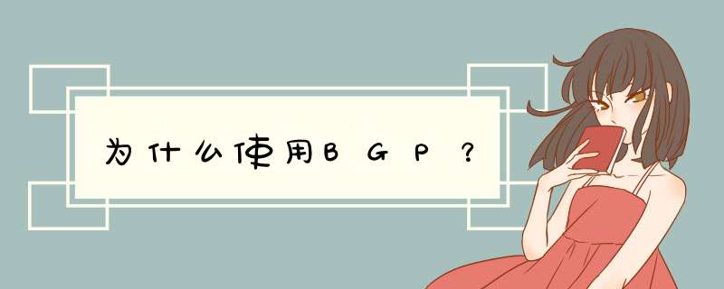 为什么使用BGP？,第1张