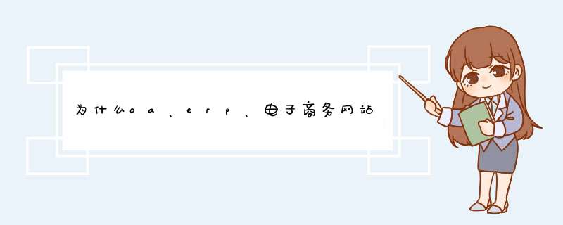 为什么oa、erp、电子商务网站要使用独立的服务器托管？,第1张