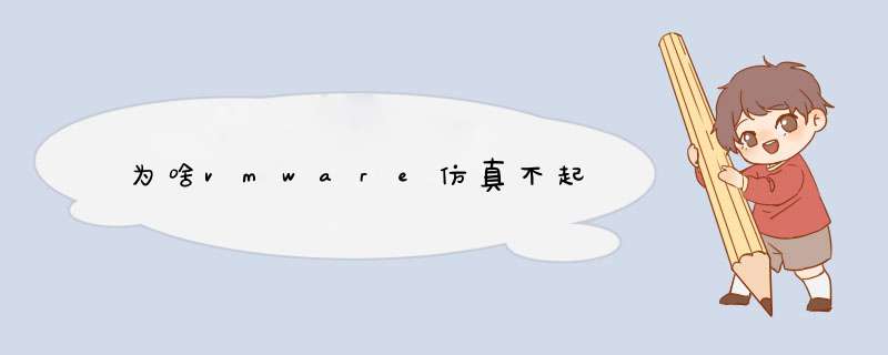 为啥vmware仿真不起,第1张