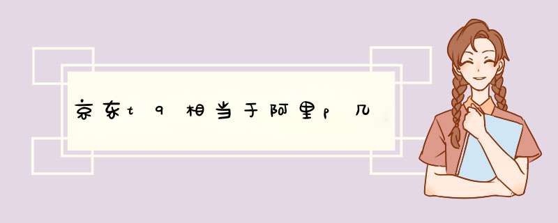 京东t9相当于阿里p几,第1张