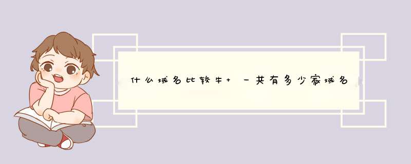 什么域名比较牛 一共有多少家域名注册平台,第1张