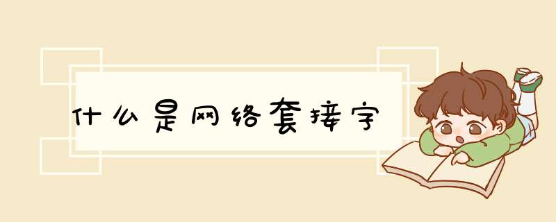 什么是网络套接字,第1张