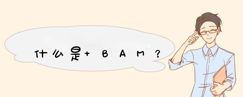 什么是 BAM？,第1张