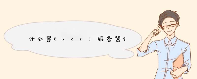 什么是Excel服务器？,第1张