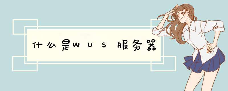 什么是WUS服务器,第1张