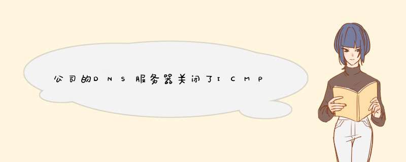 公司的DNS服务器关闭了ICMP服务不能通过ping的方法测试？,第1张