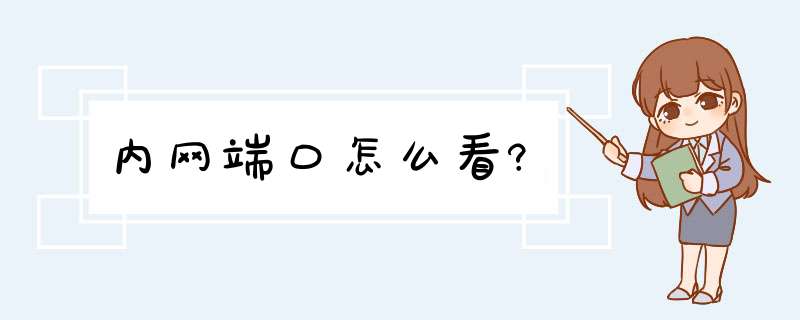 内网端口怎么看?,第1张