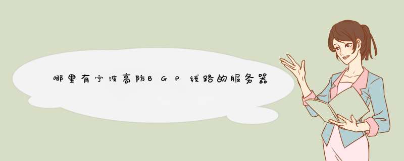 哪里有宁波高防BGP线路的服务器呢？有便宜的吗？,第1张