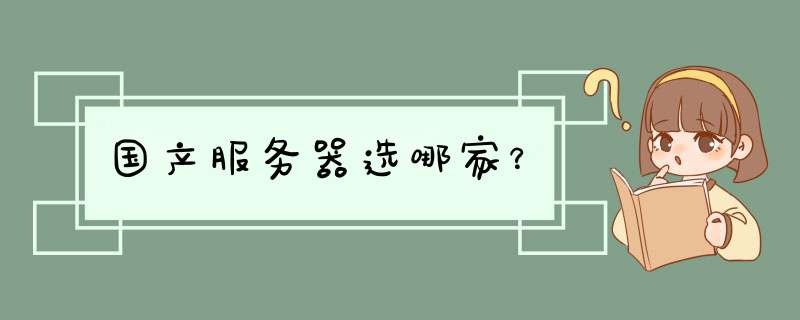 国产服务器选哪家？,第1张