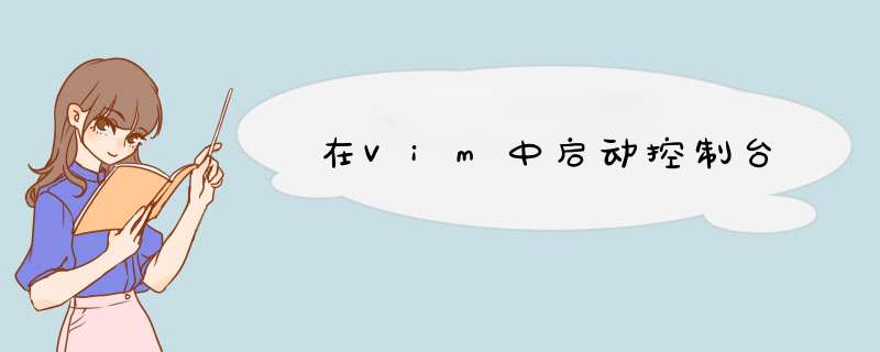 在Vim中启动控制台,第1张