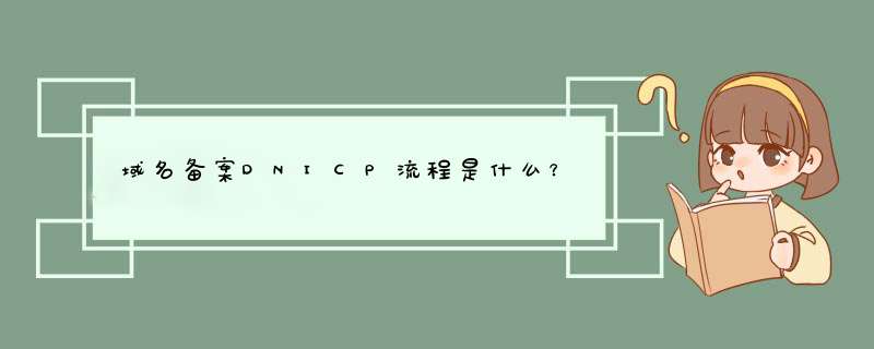域名备案DNICP流程是什么？,第1张