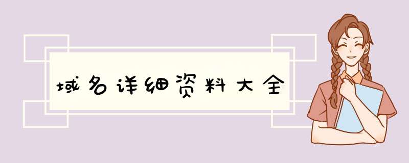 域名详细资料大全,第1张