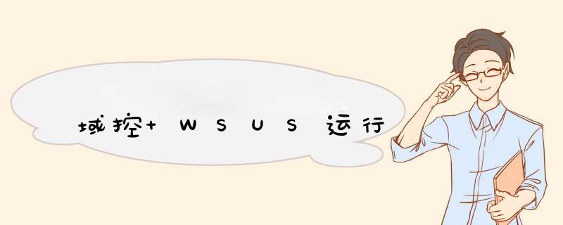 域控 WSUS运行,第1张