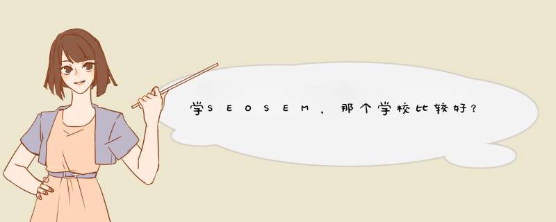 学SEOSEM，那个学校比较好？,第1张