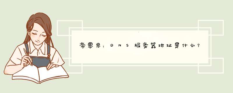 帝恩思：DNS服务器地址是什么？,第1张