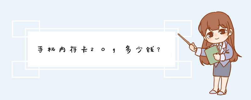 手机内存卡20g多少钱？,第1张