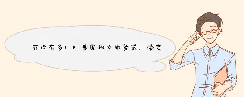 有没有多IP美国独立服务器，带宽资源100M以上，价格不超100美元的有吗？,第1张