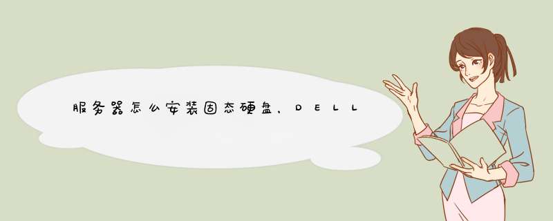 服务器怎么安装固态硬盘，DELL 2950,第1张