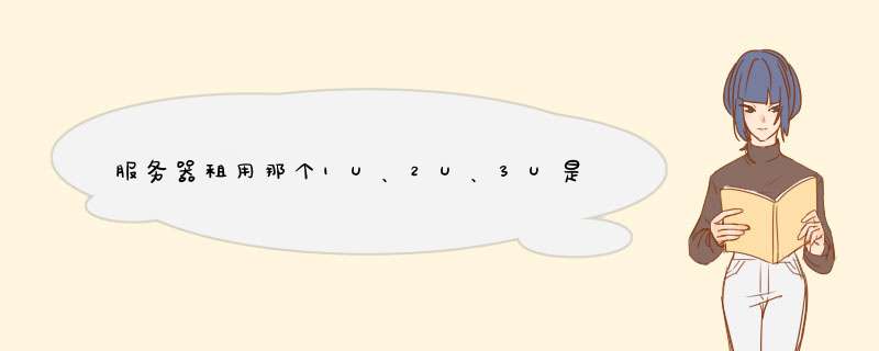 服务器租用那个1U、2U、3U是什么意思啊？,第1张