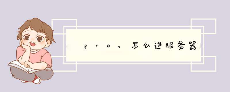 澪pro,怎么进服务器,第1张