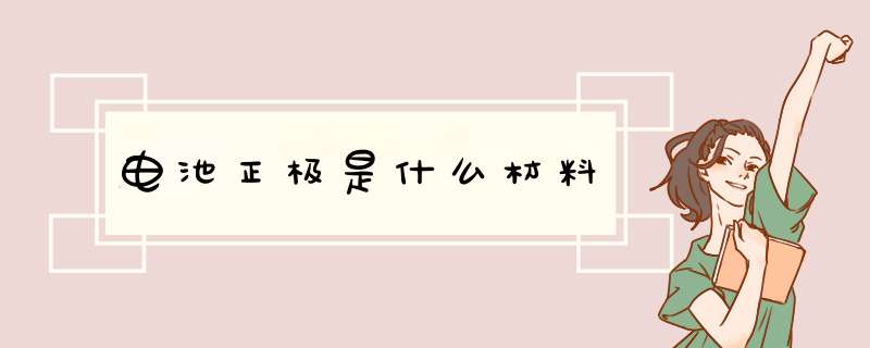 电池正极是什么材料,第1张