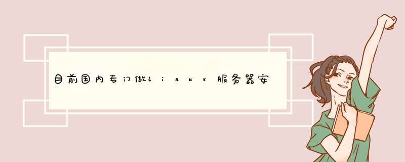 目前国内专门做linux服务器安全防护的有哪些公司,第1张