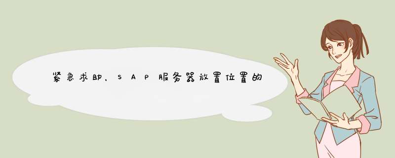 紧急求助，SAP服务器放置位置的方案,第1张