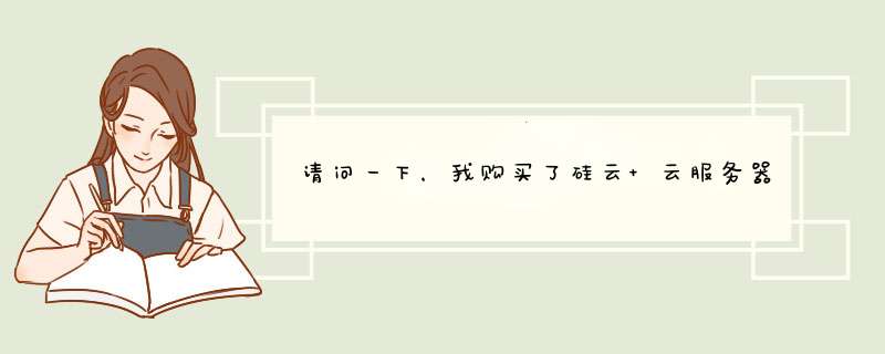 请问一下，我购买了硅云 云服务器，上传 30M的百度网盘安装程序，一开始上传就死机、卡屏,第1张