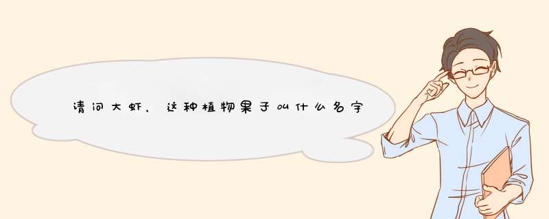 请问大虾，这种植物果子叫什么名字？,第1张