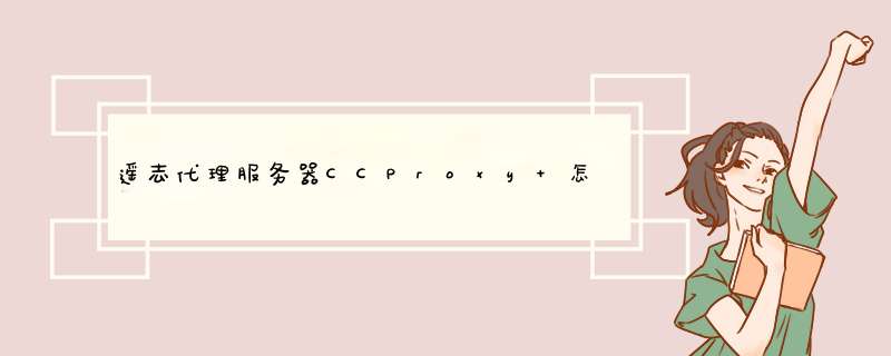 遥志代理服务器CCProxy 怎么使用啊?,第1张