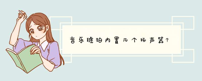 音乐琥珀内置几个扬声器?,第1张