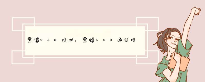 黑帽SEO技术：黑帽SEO通过培训就能学会吗,第1张