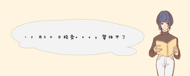 12月30日税务ukey登陆不了,第1张