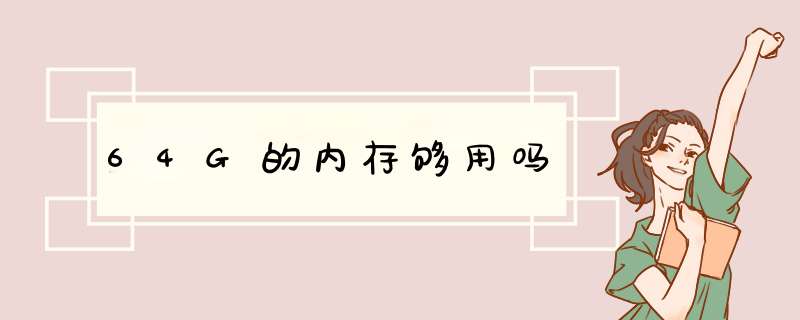 64G的内存够用吗,第1张