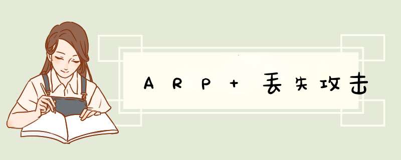 ARP 丢失攻击,第1张