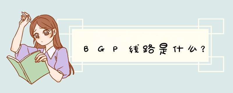 BGP线路是什么？,第1张