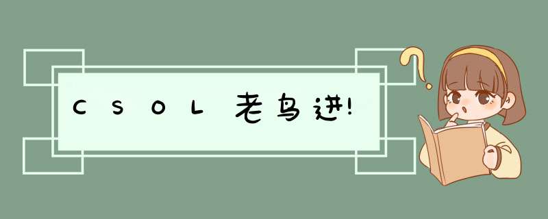 CSOL老鸟进!,第1张