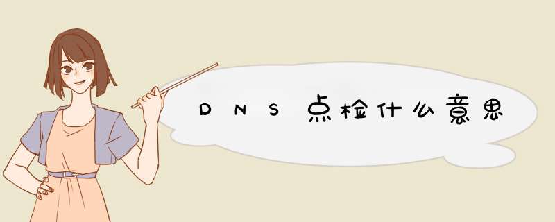 DNS点检什么意思,第1张