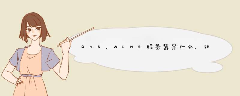 DNS，WINS服务器是什么，如何设置和加载？,第1张