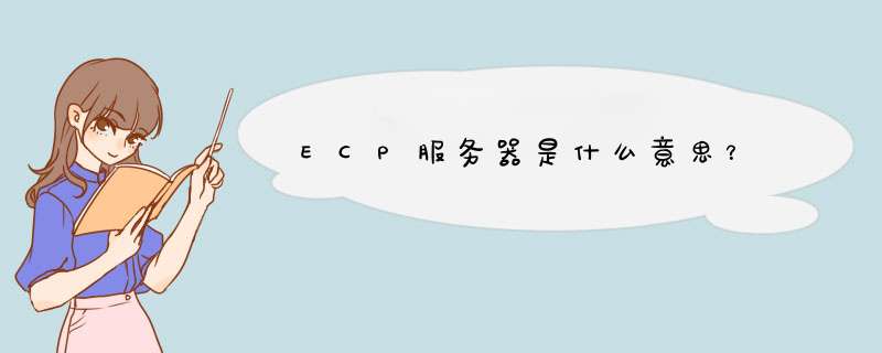 ECP服务器是什么意思？,第1张