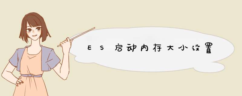 ES启动内存大小设置,第1张