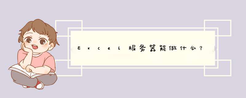 Excel服务器能做什么？,第1张