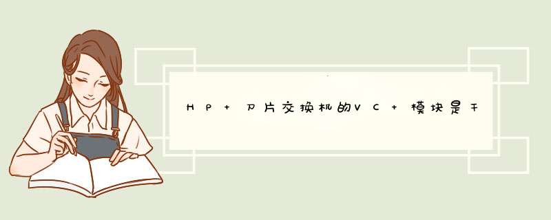 HP 刀片交换机的VC 模块是干什么用的,第1张