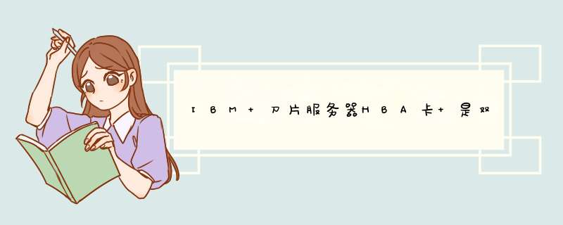 IBM 刀片服务器HBA卡 是双口的 吗 怎么配置呢 要求配2个HBA 实际加一个就可以是吗,第1张