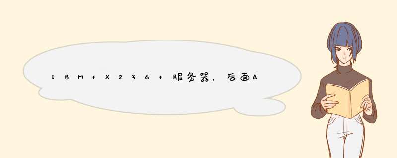 IBM X236 服务器，后面AC灯常亮，启动后DC灯亮，前面指示灯不亮，服务器噪音较以前大，能进入操作系统,第1张