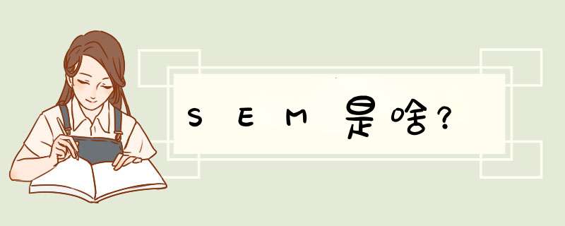 SEM是啥？,第1张